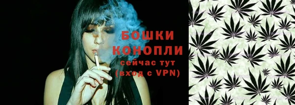 молекула духа Алзамай