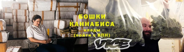 хмурый Няндома