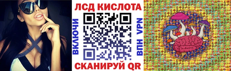 Наркотические марки 1500мкг  блэк спрут tor  Ессентукская 