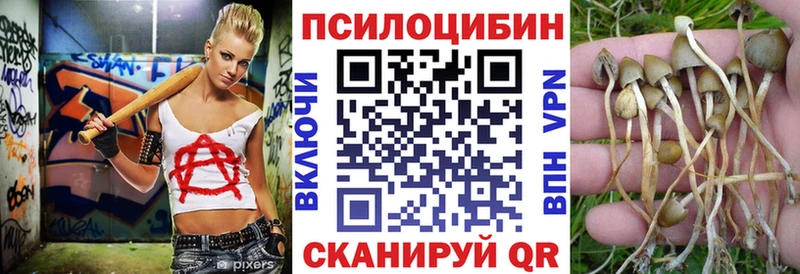 купить  сайты  Ессентукская  Галлюциногенные грибы прущие грибы 
