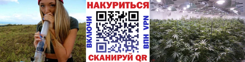 Шишки марихуана SATIVA & INDICA  Ессентукская 